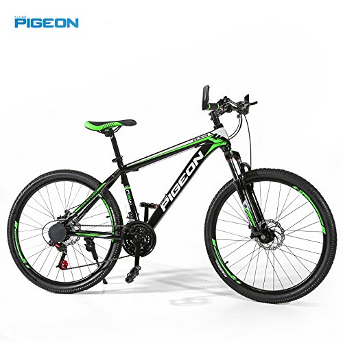 flying 21 speeds mountain bike