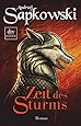 Zeit des Sturms: Roman, Vorgeschichte 2 zur Hexer-Saga