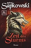 Zeit des Sturms: Roman, Vorgeschichte 2 zur Hexer-Saga