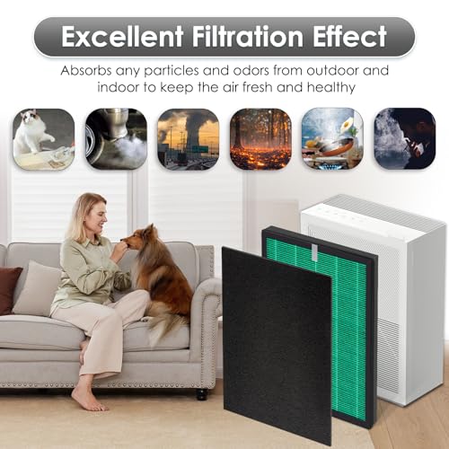 2 Sets Airmega 150 Replacement Filters for Coway Airmega 150 Air Purifier, H13 True HEPA and Active Carbon Filter, 2 Green Filters and 10 Active Carbon Filters, AP-1019C-FP
