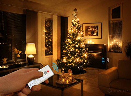 4 Beastron+Remote+Control+Electrical+Outlet