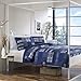 Eddie Bauer - Queen Quilt Set, Reversible Cotton Bedding with Matching Shams, Lightweight Home Decor for All Seasons (Eastmont Navy, Queen)