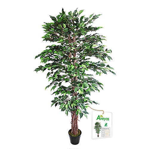 Aveyas 6ft Artificial Ficus Silk Tree with Plastic Nursery Pot, Fake Plant for Office House Farmhouse Living Room Home Decor (Indoor/Outdoor)