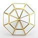 Handmade Gold Open Glass Geometric Terrarium Brass Diamond Succulent Fern Moss Plant Display Container Balcony Small Planter Indoor Centerpiece for Coffee Tabletop Decoration (NO Plants)