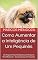 Livro Como Aumentar a Inteligência de Um Pequinês: Um Pequinês Mais Inteligente é Um Pequinês Mais Obediente - Como Adestrar Um Pequinês