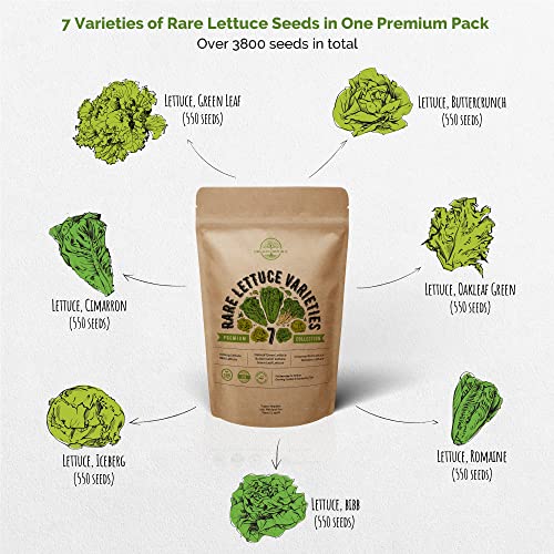 7 Lettuce Seeds Variety Pack NonGMO Heirloom Seeds for Planting