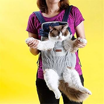 dog holder for chest