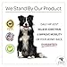 Advanced Hip and Joint Supplement for Dogs- Daily Hip-Jo's by iDash Pets- Best Glucosamine for Dogs, Chondroitin, Turmeric, MSM for Dogs- Hip Dysplasia, Dog Arthritis Pain Relief - 130 Soft Chews
