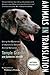 Animals in Translation: Using the Mysteries of Autism to Decode Animal Behavior (A Harvest Book) by Temple Grandin, Catherine Johnson