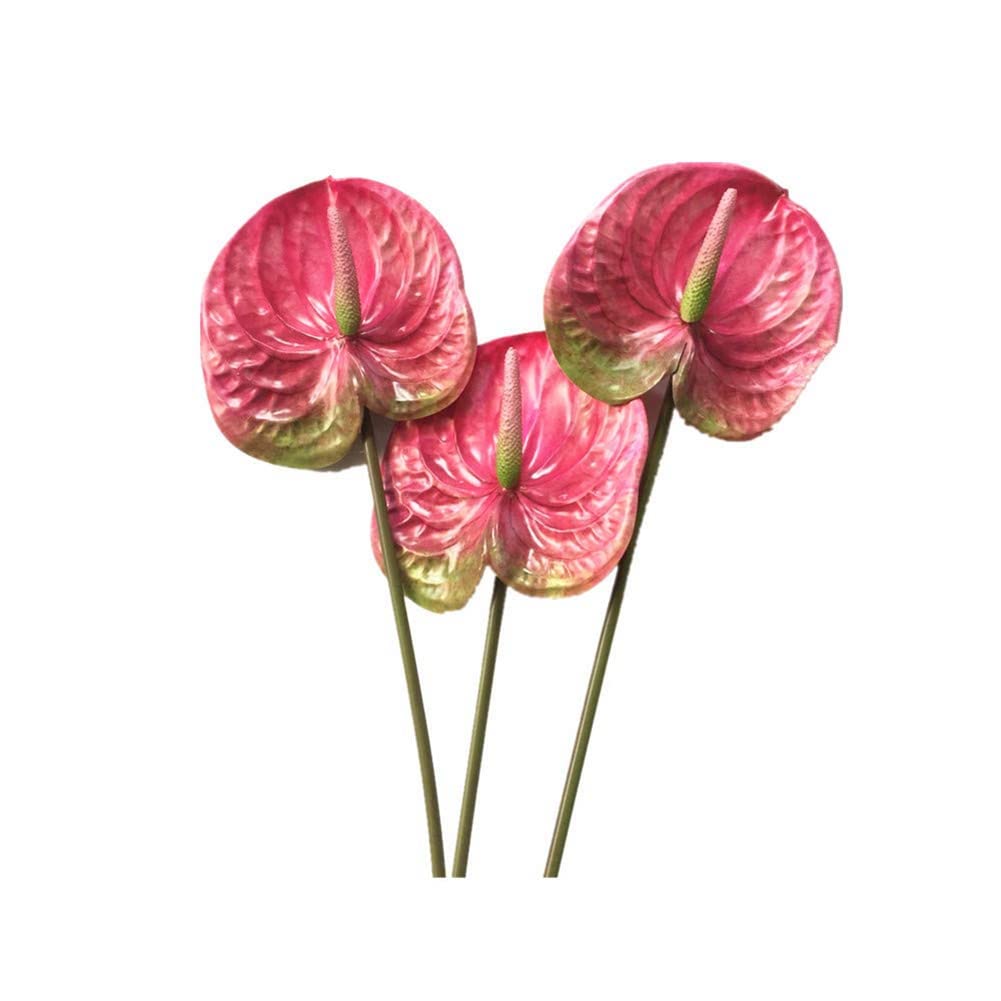 Nvanvmm 3 Pcs 22.8Inch Artificial Anthurium Flowers Decor Bouquet and Green Leaf and Bridal Wedding Decoration(Pink)