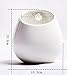 Moyishi Mini Decorative Ceramic Hanging Planter Flower Pot Water Planter Plant Vase (White1)