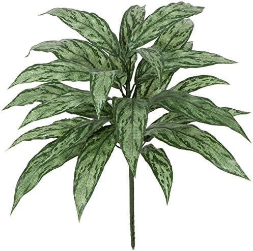 Autograph Foliages PR-556 27 in. Plastic Aglaonema Bush, Tutone Green
