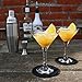 Cocktail Shaker Set by STONEKAE:24 oz Stainless Steel Cocktail Shaker with Strianer,Jigger,Muddler, Mixing Spoon,2 Pourers, Professional Kit Gift