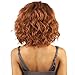 ISIS BROWN SUGAR Human Blended Lace Front Wig - BS206