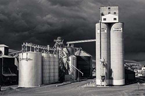 Columbia Grain Growers, Dayton. Fine art photography print Barns home decor wall art