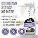 EBPP Odor & Stain Eraser - Made in The USA - Pet Odor Absorber and Room Deodorizer for Home Use - Odor Remover and Urine Odor Eliminator - Lavender Enzyme Carpet Cleaner
