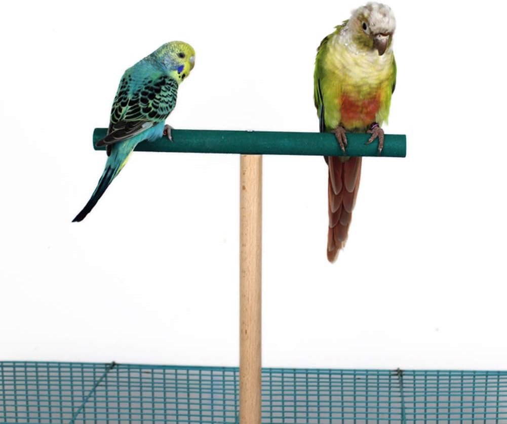 conure carrier