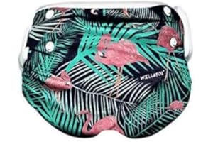 Reusable Swim Diapers for Babies, Infants & Toddlers - Adjustable Girls Swimming Diaper 0-2 Years, Eco-Friendly Washable with Snaps – Flamingo – 1 Pack by Will & Fox
