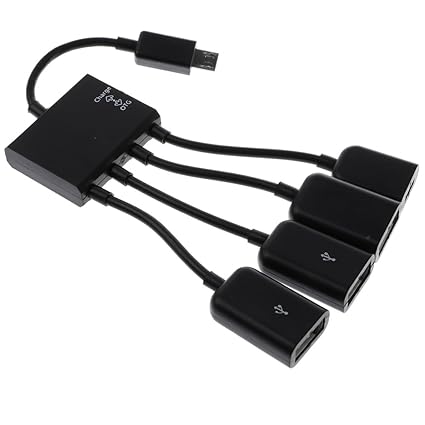 raspberry pi google hub