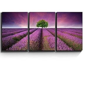 3 Piece Canvas Print - Contemporary Art, Modern Wall Art - Lavender Field Rows and a Lone Tree- Giclee Artwork - Gallery Wrapped Wood Stretcher Bars - Ready to Hang 16"x24"x3 Panels