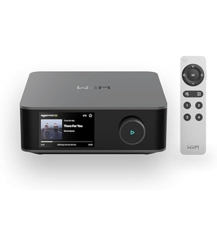 Amazon.com: Bose SoundTouch SA-4 Amplifier (Black) : Electronics