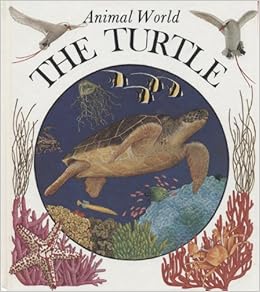The Turtle Animal World English French And French Edition Metral Yvette Knox Charlotte Amazon Com Books