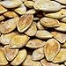 All Nuts 6PK Pumpkin Seeds Extra Crispy Roasted Salted 3.5oz Bags, Total Weight 1.31LB