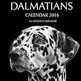 Dalmatians Calendar 2016: 16 Month Calendar