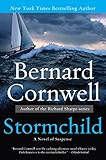 Stormchild: A Novel of Suspense
