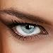 Women Multicolor Cute Charm and Attractive Fashion Eye Accessories Cosmetic Makeup Eye Shadow - Light Grey with Contact Lens Case By Biuti TM