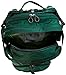 Osprey Packs Manta AG 36 Hydration Pack, Spruce Green, Medium/Large