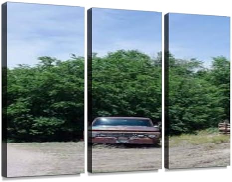 Amazon Co Jp 廃車 車 放置 不法投棄 廃棄 木 林 屋外 風景 無人 空 景色 外 野外 乗り物 野ざらし 乗物 自動車 ゴミ ごみ 故障 スクラップポスター パネル 現代壁の絵 壁掛け 部屋飾り 背景絵画 壁アート 完成品 3枚セット