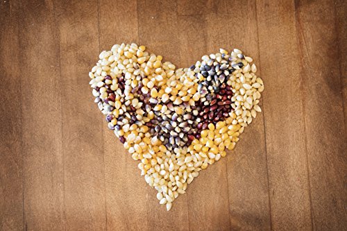 image for Amish Country Popcorn- 10 (1 Lb Bag) Variety Gift Set Bundle with Reci