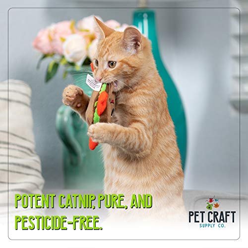 Pet Craft Supply Silly Snacks and Funny Food Crinkle Cuddling Catnip