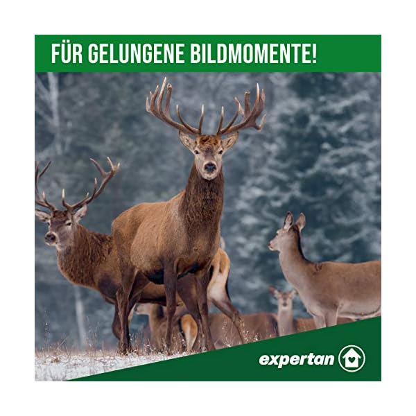 Expertan® Wildtierkamera in Tarnfarbe – 1080P HD Wildkamera mit Video & Bildaufzeichnung - Nachtsichtkamera mit… – Bild 8