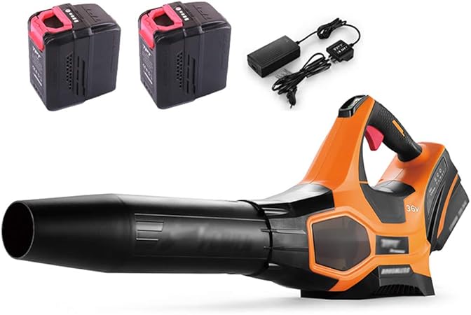 Soffia foglie a batteria Soffia foglie a batteria