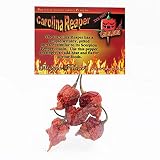 Magic Plant Dried Carolina Reaper Pepper Whole Pods, 1/4 oz.