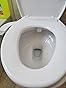 Brondell SimpleSpa Eco Ambient Temperature Single Nozzle Attachable - View #5