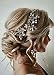 FXmimior Bride Hair Accessories Crystal Hair Vine Earrings Sets Headband Wedding Hair Comb Evening Party Hair Piece (silver) (headband ONLY) primary