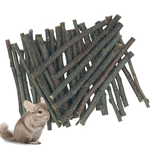 Natural Apple Branches Apple Sticks Chew Toys Molar Sticks for Hamster