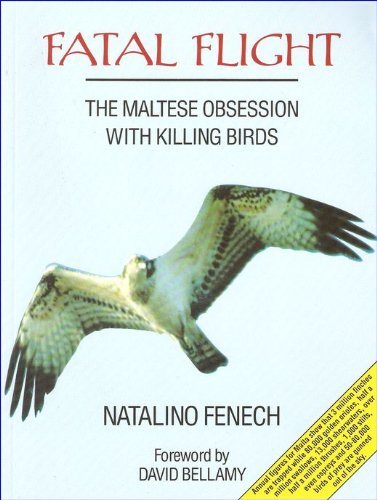maltese obsession amazon
