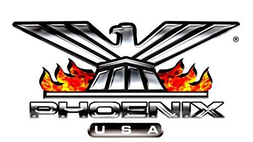 Phoenix USA NDT165 16" Dual Tandem Trailer Wheel Simulator