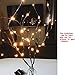 Novobey Lighted Twig Branches Lights, 30 Inches 20 LED Battery Operated Artificial Tree Willow Branches Lamp for Home Holiday Party Decoration Decor (Warm White)