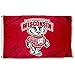 Wisconsin Badgers UW Bucky University Large College Flag