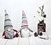 iGnome Handmade Christmas Gnome Decoration Swedish Tomte Santa Figurines (Red)