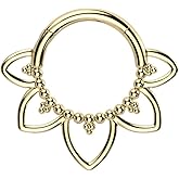 Pierced Owl 16GA ASTM F-136 Implant Grade Titanium Heart Filigree and Beaded Ball Hinged Segment Ring