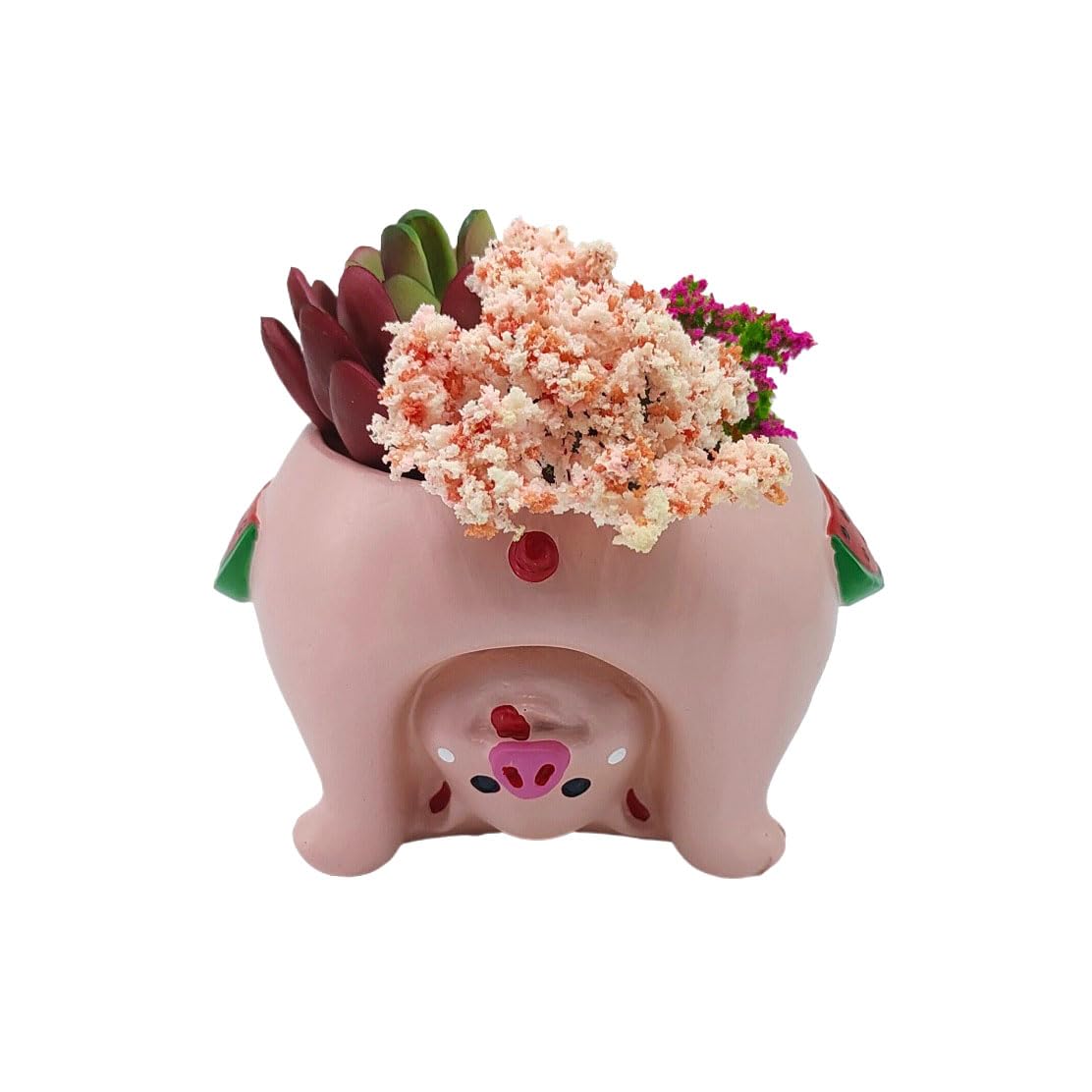 Youfui Cute Succulent Flowerpot for Home Decoration Gift (Pig)
