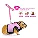 Small Animals Harness and Leash Adjustable Soft Mesh Small Pet Harness with Safe Bell, No Pull Comfort Padded Vest Durable Nylon Harness All Season for Rats,Guinea Pig and Hamster