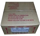 Live Feeder Crickets 1000(ct) Large 3/4