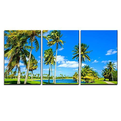 Beautiful Golf Course Landscape in Miami Home Art x3 Panels